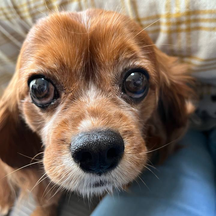 800cb0f8 d297 4f00 bc44 1c36f28838bc 1681165703861