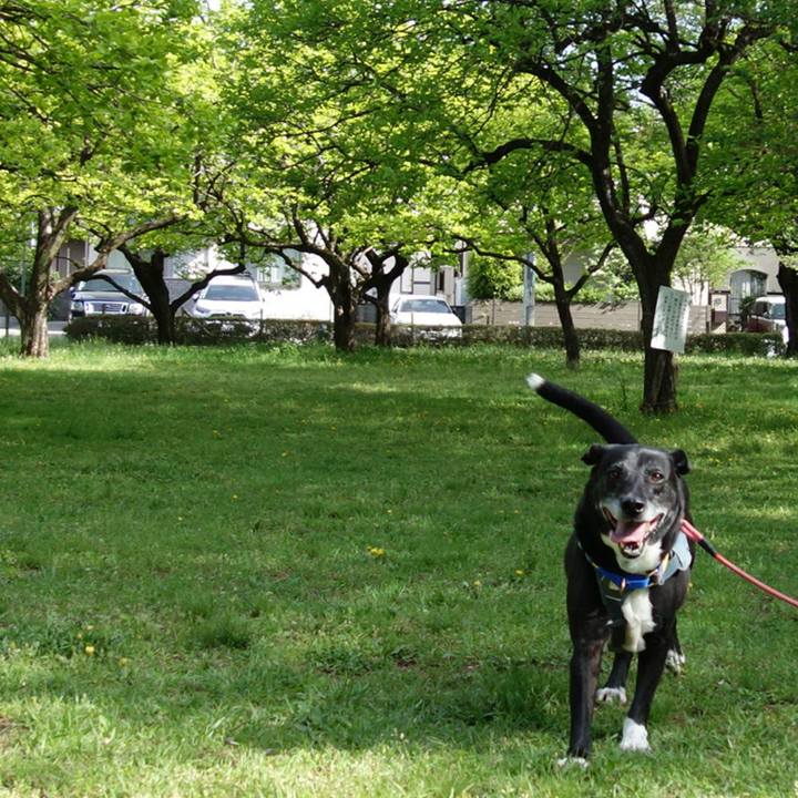 800cb936 72b4 4a92 a7d9 4aad0ea84ba4 1745195495655