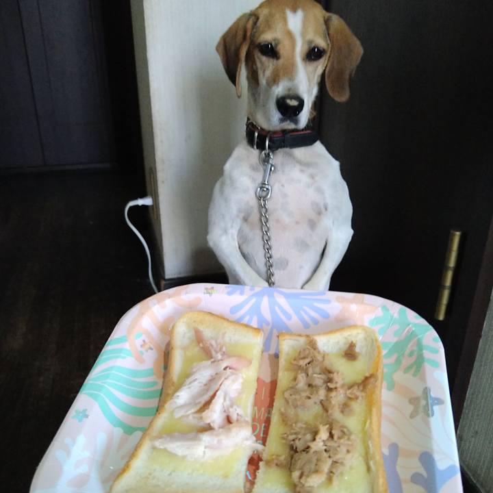 800cc621 7b5b 41cf 8bbe fc028f26d80d 1661938286239