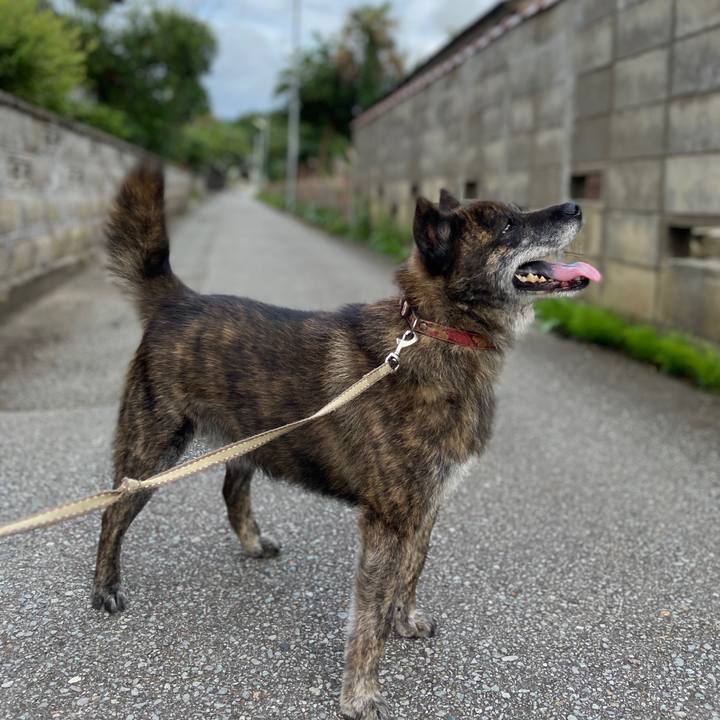 800d07bb f991 4f02 9902 80b87716e453 1595496109441