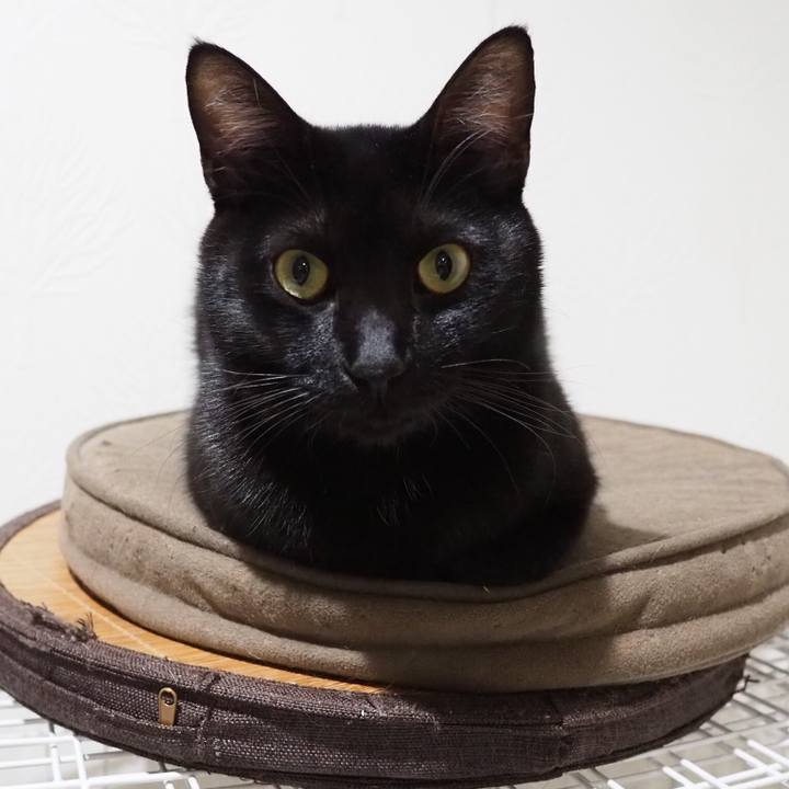 800d4568 90bc 42ba bea8 89be7eb43512 1545263365415