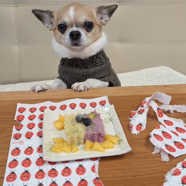 800d5068 5a82 4f07 ab26 b84a62496612 1732101499636