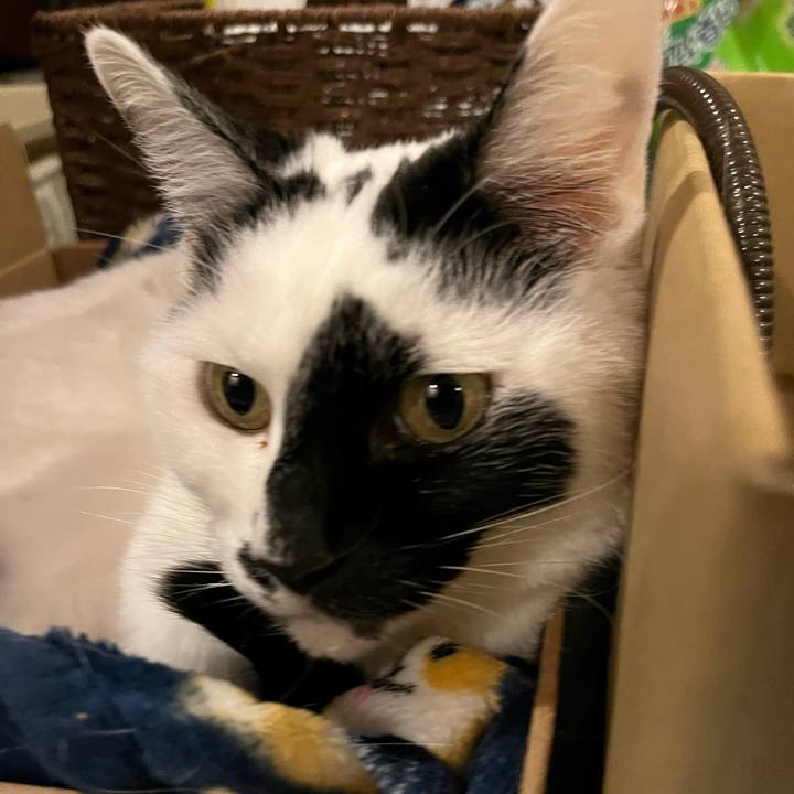 800d6b93 0b94 41c4 b8c5 2bf086a52143 1766069458343