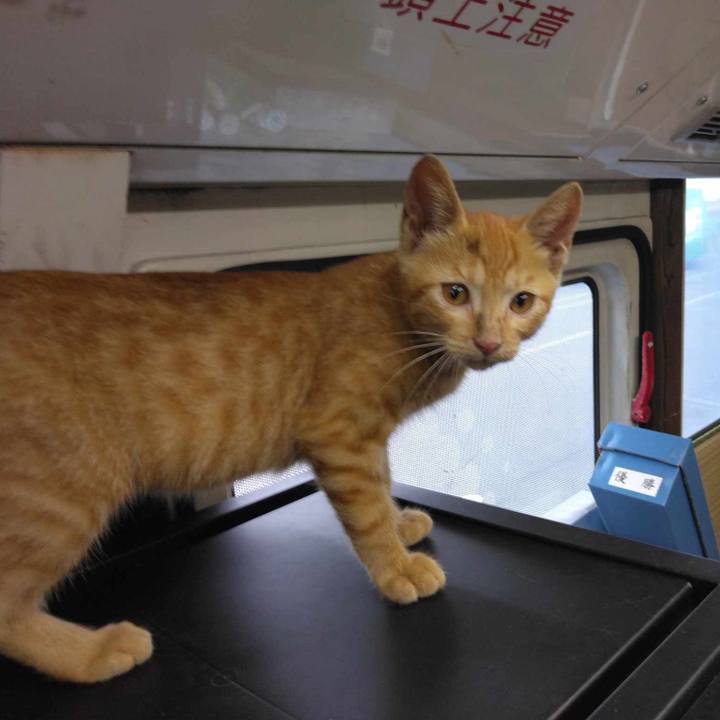 800d8bd8 c2e5 4d2d 83d0 5249165e8b15 1722902748150