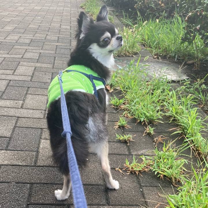 800db98a 98de 440a 9213 d94939aa314e 1692028295881