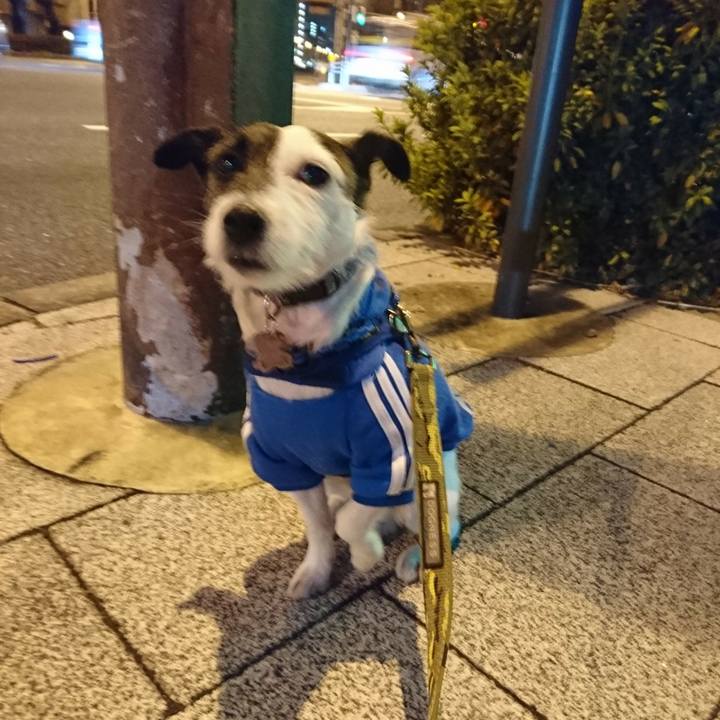 800dc092 7638 43fb b7b8 efa1330c8a1f 1516017958203