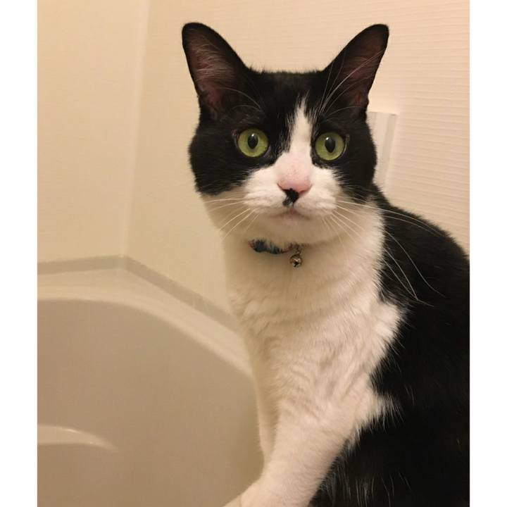 800dc0dc da9d 4003 90f5 0926307f8611 1583467923990