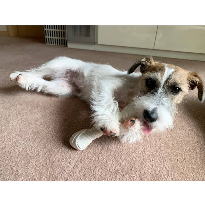 800dc7fc b4b9 43b0 b8e1 05607b9fd736 1573449270266