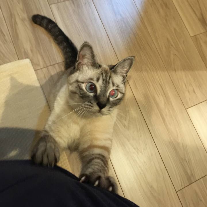 800ddfbc 304a 4aee 97b6 4df5f45a2c34 1593604278914