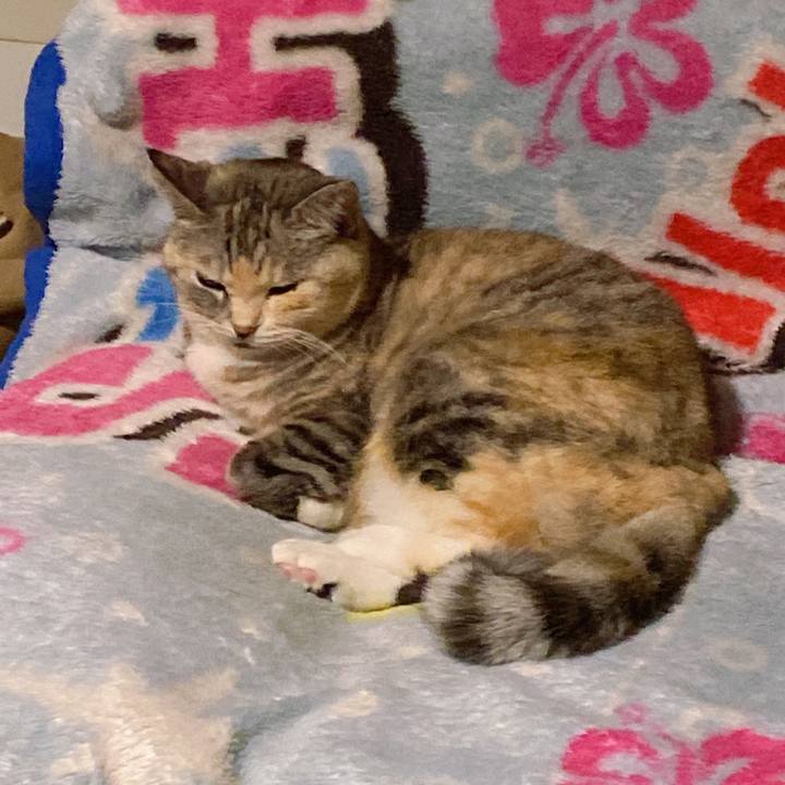 800dff7c 3a1b 4fb9 9b05 15a27a84997e 1698057781454