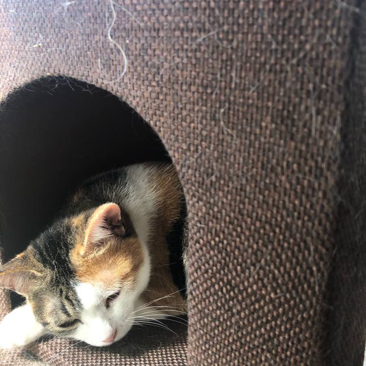 800e6057 d7b1 42cd a68b 67f0dc79bdf1 1592310273382