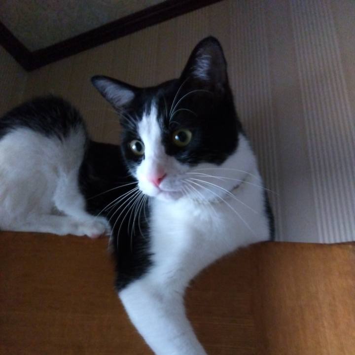 800e6d35 9ac5 43a4 8d3a b8e588213138 1653994065827