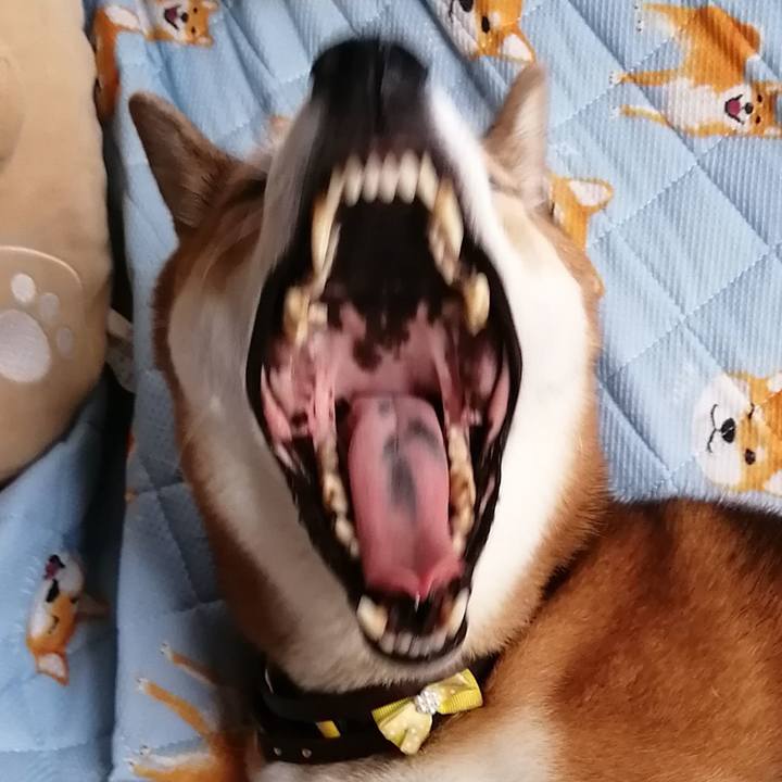 800e7f48 fafc 4fa2 9d8c f47164bdcd83 1598420701878