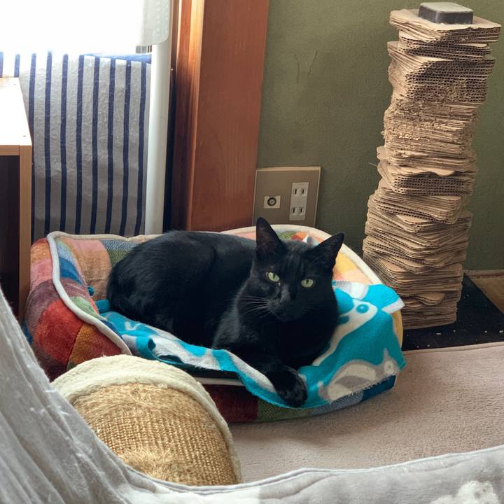 800e8a24 8e08 4280 8fe5 0a8775bd07d7 1602721545127