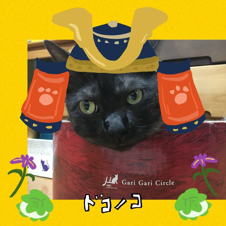 800e9146 4af1 4cee 97b7 221db1b372f4 1714955647091