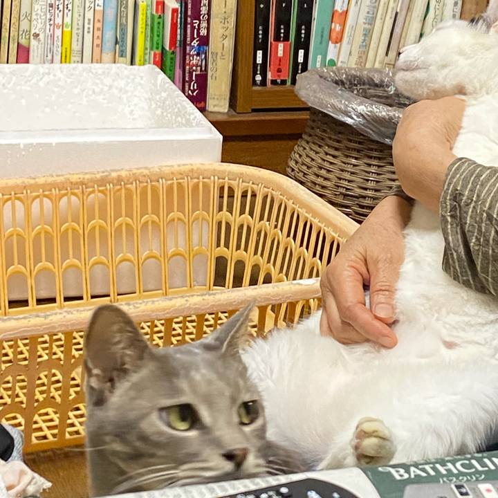 800ea8dd 6c4e 42c6 90d9 b8d5bbb4adcf 1631800778589