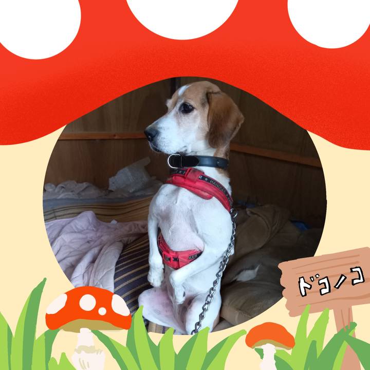 800ebd93 c8e2 4c76 ae2f 12f446fa5b39 1729499570388