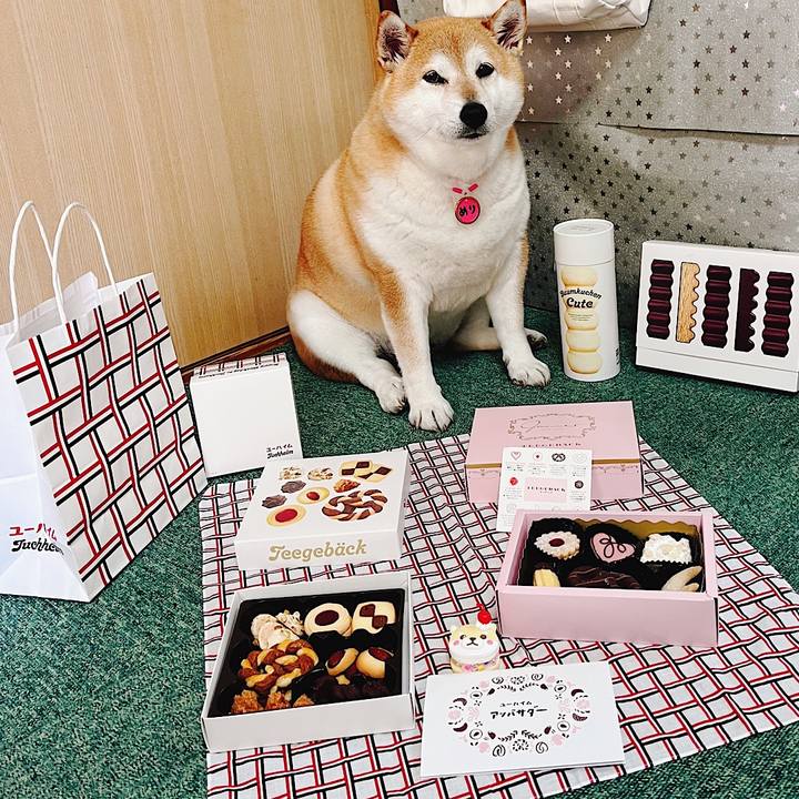 800ecbcd 0f0f 4f04 aed8 ba0377fe0228 1685601847459