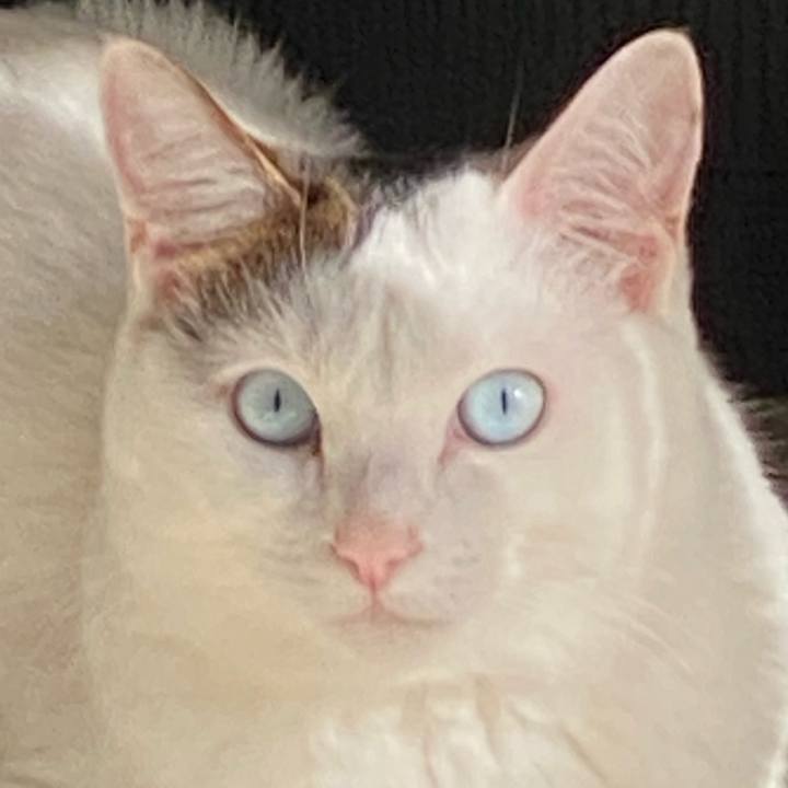 800ecd28 17e2 4d99 b240 af7901073cd2 1612571059706