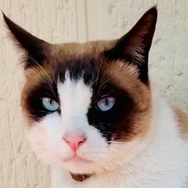 800f0763 a26b 4848 8346 3ab0b7c12018 1774495534406