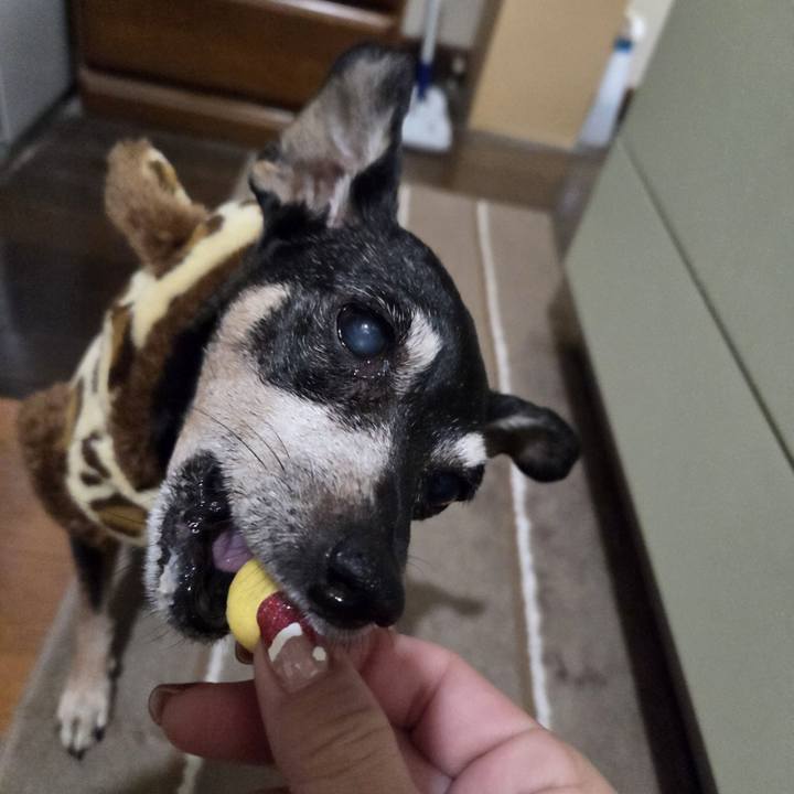 800f7ce3 924f 41ec 9f94 c5e6c7469425 1765656018739