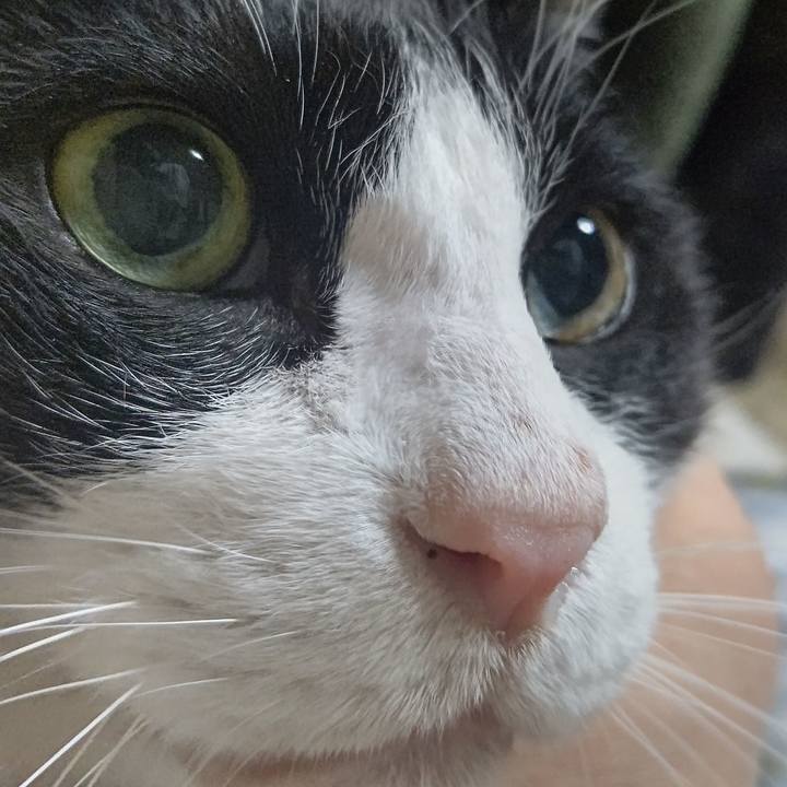 800f7e6a 2038 478d 9b72 1443771e5663 1641416876347