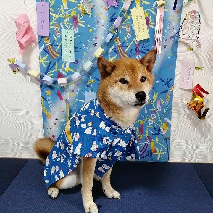 800f96c5 e882 4b16 89b9 905a3612506d 1594135654600