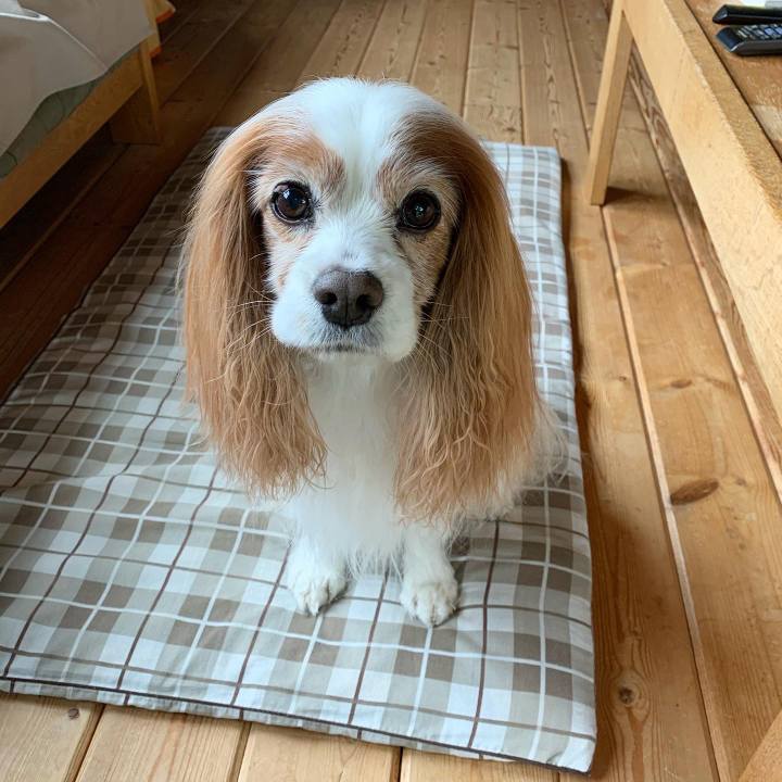 800fdf2a 2c31 4405 a318 d97eac8a8999 1589519697994