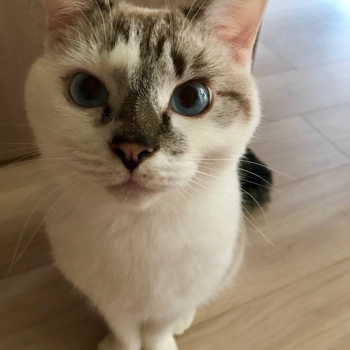 800fe68b 1223 4cda b4d6 3ba08b2aa9dc 1507628911433