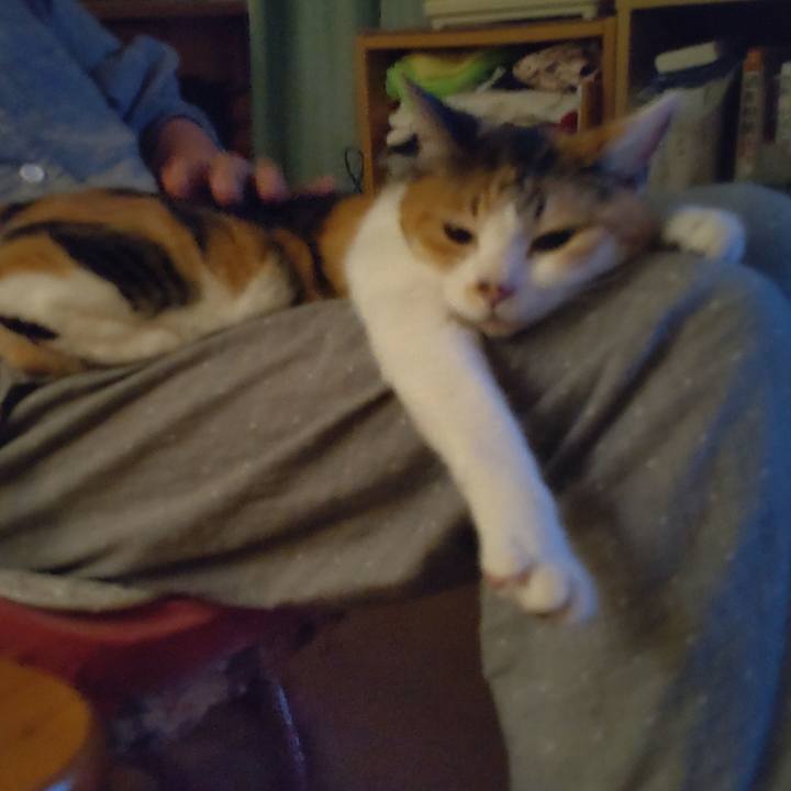 8010062c e7ad 4851 80d7 05a3798905a0 1690120689499