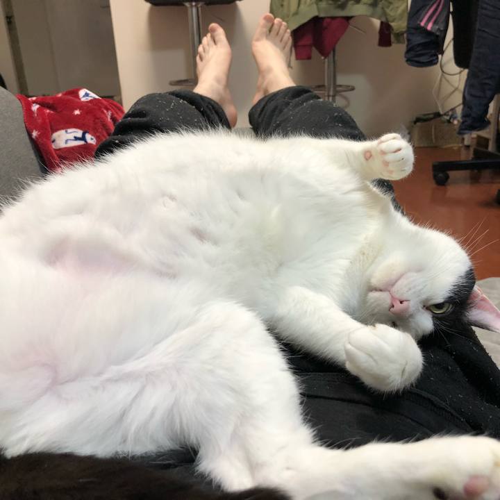 8010188c f2b8 4042 bcec 2e2660a814cc 1523374108749