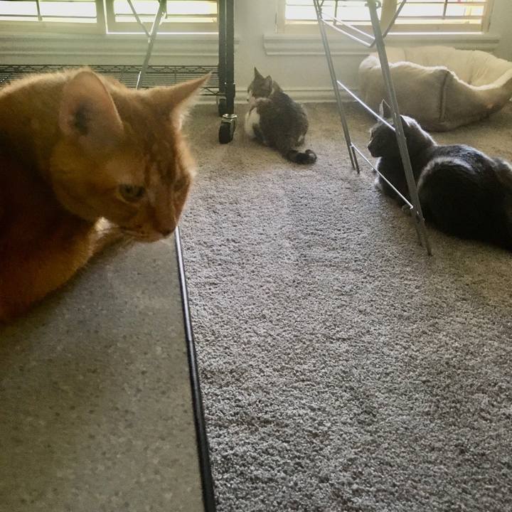 801042c0 d12a 4eb4 a16e 7856ecfd37a8 1661211438672