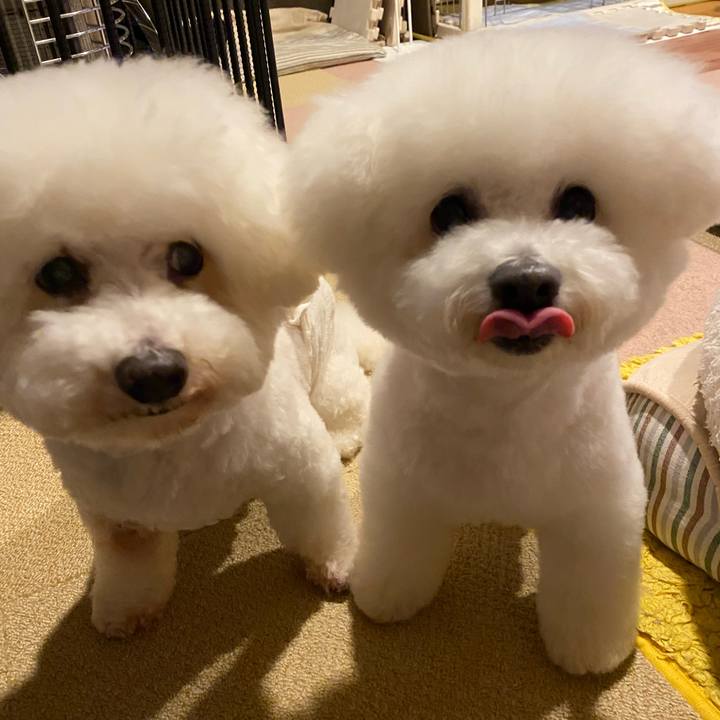 801056c4 4591 4548 b9ac a5a5483d5ba4 1708328981230