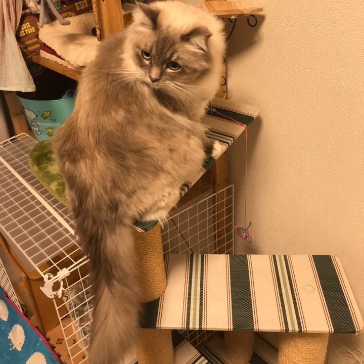 8010bb81 c88c 46ae 98c7 dda580e53766 1511365714617