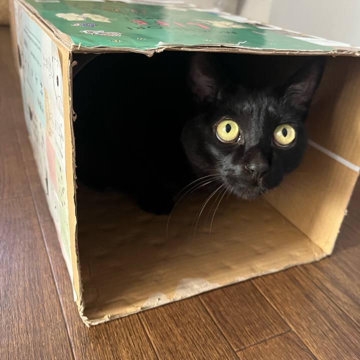 8010d200 0359 4e98 952f 60bff64e6fe6 1770088936978