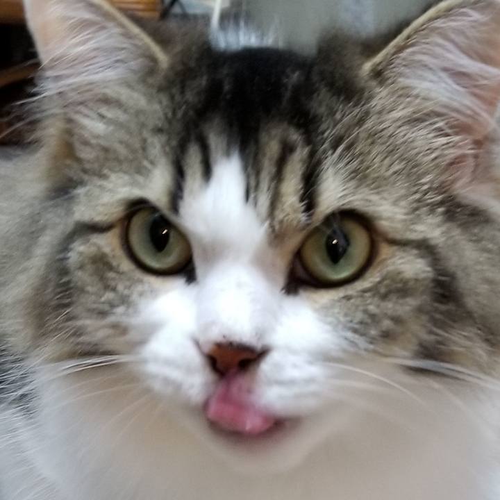 8010ee54 5f42 4217 a7e4 e474475207aa 1567821751855