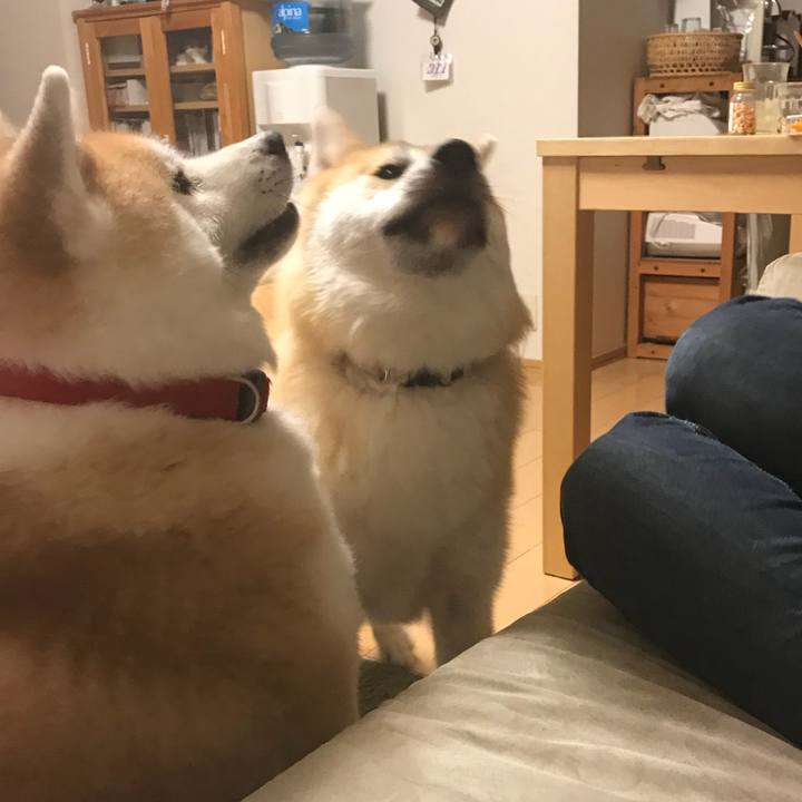 80111422 c845 4e7c a683 5bf4b6d54d18 1508670790165