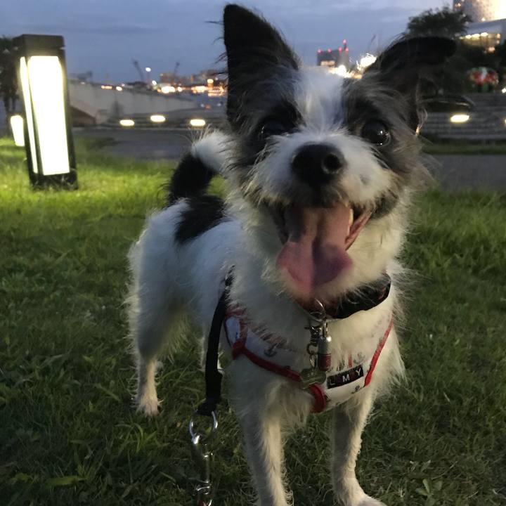 80118155 3b02 4a99 8ca0 38830ca00341 1537701434658