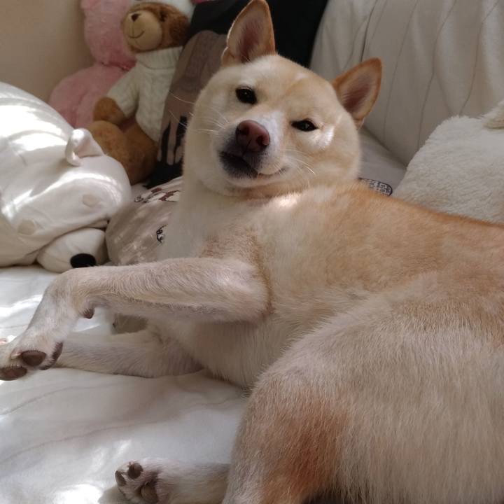 80118ef8 d966 45fa 9af0 7cd56b205f47 1569457635848