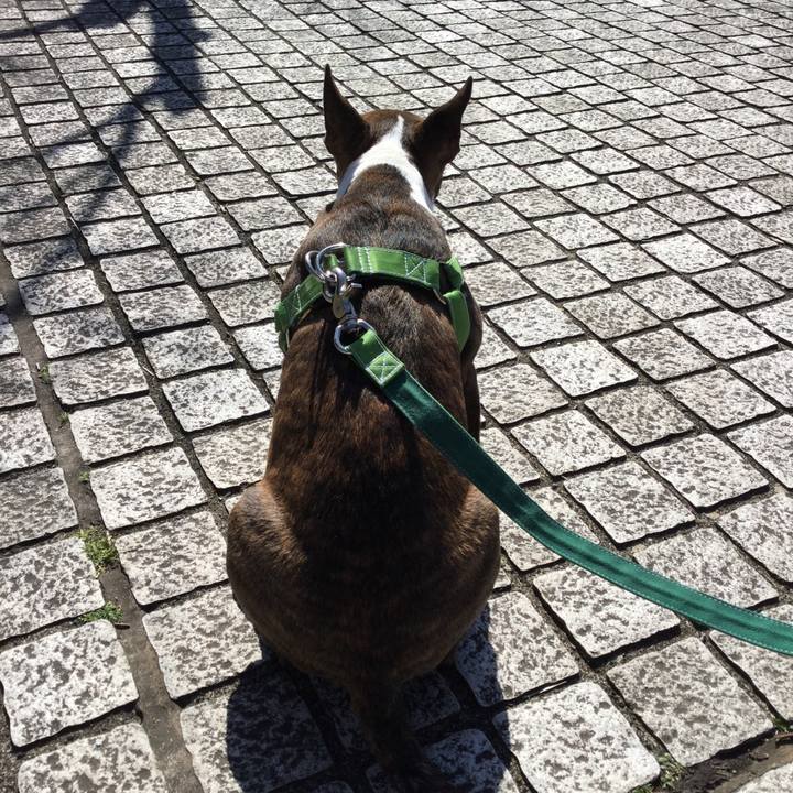 8011a2a4 47b8 4c87 8d39 43e3d82043d0 1552113826890