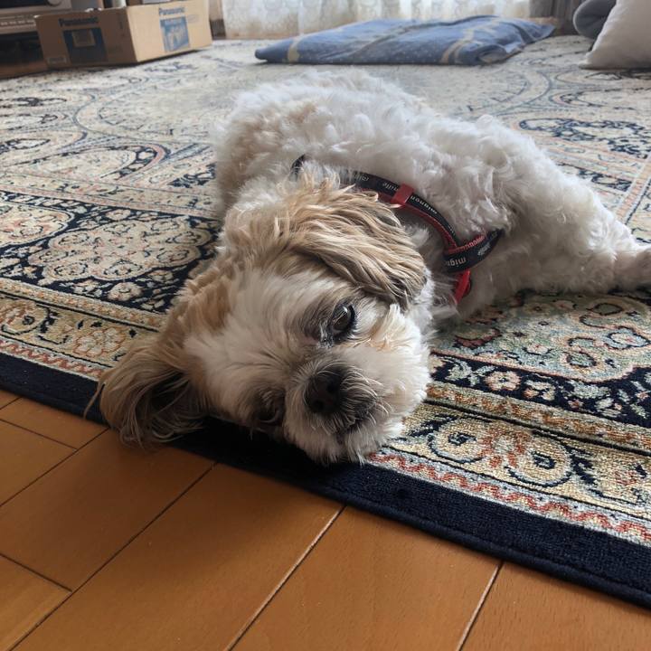 8011ac26 596b 4a24 9f5d 86456cfcbc5a 1589751947730