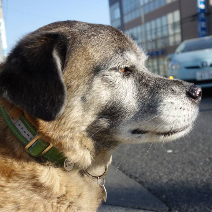 8011d6c3 0743 4596 bdf3 59905ae610e6 1659570296036