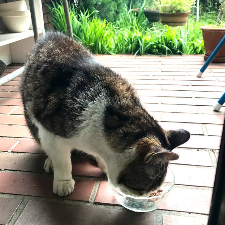 8011f0b1 d7b9 4298 9fa4 9a020b811cae 1618203179872