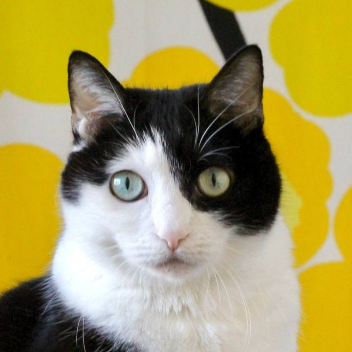 8011f55e 4353 467e ac00 c7130ac0725c 1670814490108