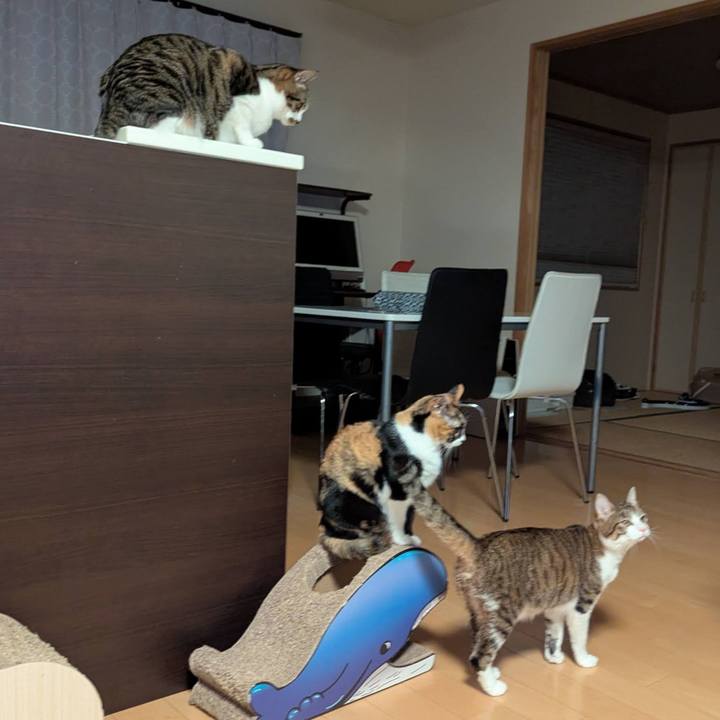 80121403 1b14 476c 8d12 54ff24c9c7ba 1769350993634