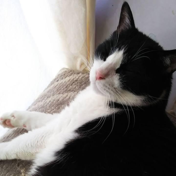 80121b82 2f9e 4846 85d6 34ea2f7c22e3 1560655499589