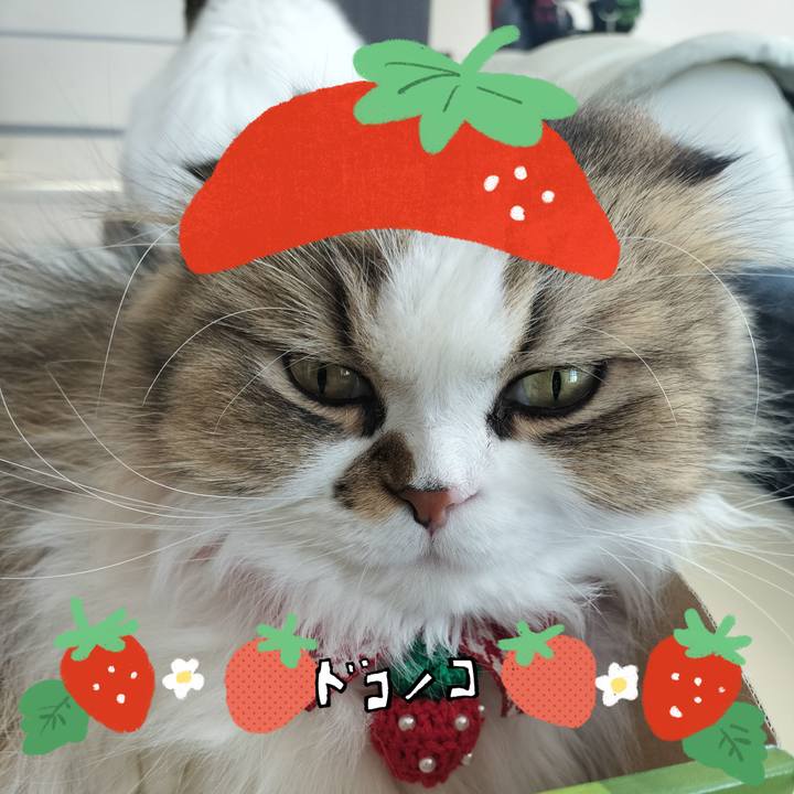 8012494b 416f 496c 80a9 15e8a11c0a20 1775261195080