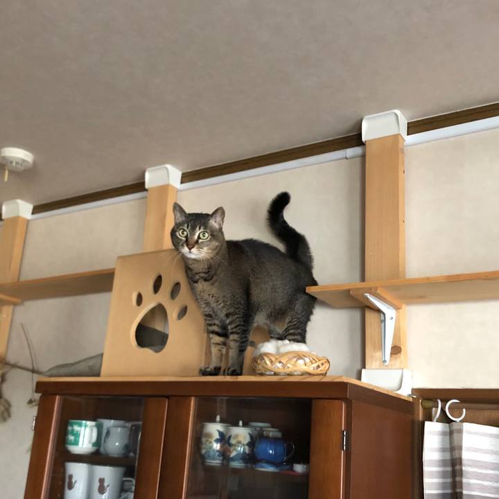 80126c4f 66d8 4da0 bbc0 cb18b4ba2b95 1645841548422