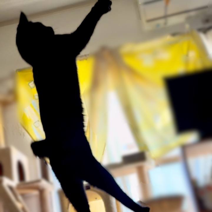 801289e7 915e 46f0 86c9 38847f124bca 1738981644963