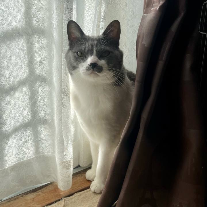 8012991f c0b2 4570 8fdd f2cc4ee35dcd 1670028736448